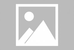 金铲铲之战最新内容爆料,神秘英雄登场，全新游戏体验即将开启！